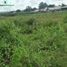  Land for sale in Valencia City, Northern Mindanao, Valencia City, Bukidnon