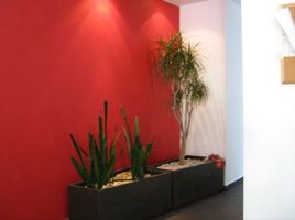 Appartement 3 chambre à vendre à Miguel Hidalgo, Mexico City, Miguel Hidalgo