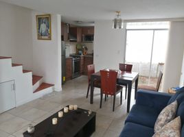 3 Schlafzimmer Haus zu verkaufen in Tumbaco, Pichincha, Tumbaco