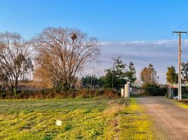  Terreno (Parcela) en venta en Maule, Pelarco, Talca, Maule