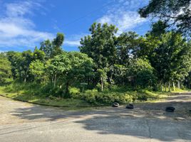  Land for sale in Rizal, Calabarzon, Antipolo City, Rizal