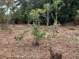  Grundstück zu verkaufen in Rionegro, Antioquia, Rionegro, Antioquia