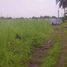  Land for sale in Negros Island Region, Sibulan, Negros Oriental, Negros Island Region