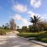  Land for sale in Alfonso, Calabarzon, Alfonso