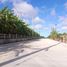  Land for sale in Alfonso, Calabarzon, Alfonso
