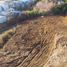  Land for sale in Chile, Ancud, Chiloe, Los Lagos, Chile