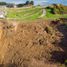  Land for sale in Chile, Ancud, Chiloe, Los Lagos, Chile
