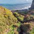  Land for sale in Chile, Ancud, Chiloe, Los Lagos, Chile
