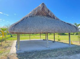 3 Schlafzimmer Haus zu verkaufen in Ricaurte, Cundinamarca, Ricaurte