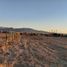  Terreno (Parcela) en venta en Chile, Caldera, Copiapó, Atacama, Chile