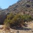  Land for sale in Chacabuco, Santiago, Colina, Chacabuco