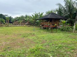  Land for sale in Carmen, Cebu, Carmen