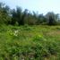  Terreno (Parcela) en venta en Balamban, Central Visayas, Balamban