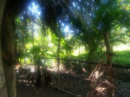  Terreno (Parcela) en venta en Balamban, Central Visayas, Balamban
