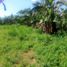  Terreno (Parcela) en venta en Balamban, Central Visayas, Balamban