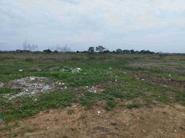  Land for sale in Daule, Guayas, Daule, Daule