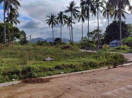  Grundstück zu verkaufen in Cavite, Calabarzon, Magallanes