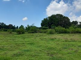  Land for sale in Taysan, Batangas, Taysan