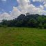  Land for sale in Taysan, Batangas, Taysan