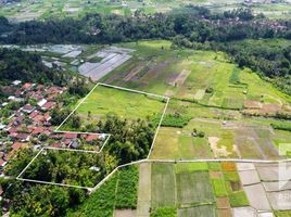  Land for rent in Abiansemal, Badung, Abiansemal