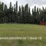  Land for sale in Muntinlupa City, Metro Manila, Muntinlupa City