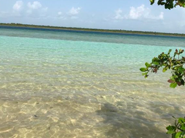Terrain à vendre à Othon P Blanco, Quintana Roo, Othon P Blanco