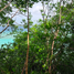 Terrain à vendre à Othon P Blanco, Quintana Roo, Othon P Blanco