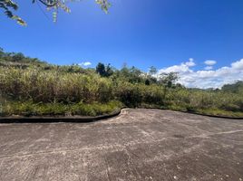  Land for sale in Consolacion, Cebu, Consolacion