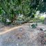  Land for sale in Muntinlupa City, Metro Manila, Muntinlupa City