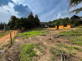  Terreno (Parcela) en venta en Guarne, Antioquia, Guarne