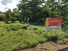  Land for sale in Dumanjug, Cebu, Dumanjug