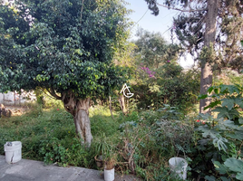  Terreno (Parcela) en venta en Tlahuac, Ciudad de México, Tlahuac
