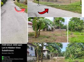  Terreno (Parcela) en venta en Cebu City, Central Visayas, Cebu City, Cebu