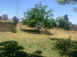  Land for sale in Chignahuapan, Puebla, Chignahuapan