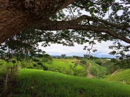  Terreno (Parcela) en venta en Ulloa, Valle Del Cauca, Ulloa