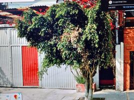 2 Schlafzimmer Villa zu verkaufen in Miguel Hidalgo, Mexico City, Miguel Hidalgo
