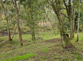  Grundstück zu verkaufen in Medellin, Antioquia, Medellin, Antioquia