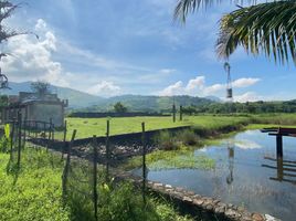  Grundstück zu verkaufen in Zambales, Central Luzon, Cabangan