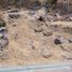  Land for sale in Nealtican, Puebla, Nealtican