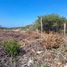  Terreno (Parcela) en venta en Hunucma, Yucatán, Hunucma