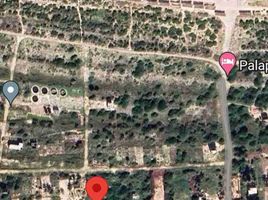  Terreno (Parcela) en venta en Hunucma, Yucatán, Hunucma