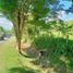  Land for sale in Tanay, Rizal, Tanay