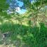  Land for sale in Tanay, Rizal, Tanay