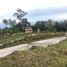  Land for sale in Negros Island Region, Dauin, Negros Oriental, Negros Island Region