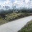  Terrain for sale in Negros Oriental, Negros Island Region, Dauin, Negros Oriental