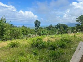  Land for sale in Camiguin, Northern Mindanao, Mahinog, Camiguin