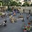  Terreno (Parcela) en venta en Telchac Puerto, Yucatán, Telchac Puerto