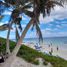  Terreno (Parcela) en venta en Cozumel, Quintana Roo, Cozumel