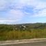  Terreno (Parcela) en venta en Consolacion, Central Visayas, Consolacion