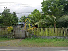  Land for rent in Aurora, Central Luzon, San Luis, Aurora